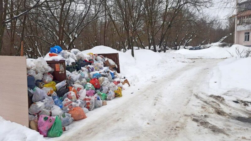 «Биотехнологиям» дали неделю на расчистку Владимира от мусорных завалов 