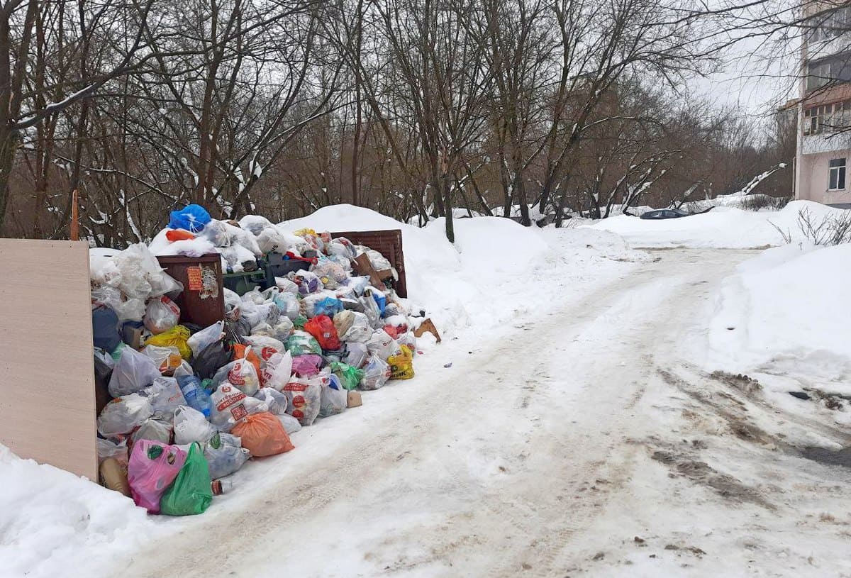 «Биотехнологиям» дали неделю на расчистку Владимира от мусорных завалов 