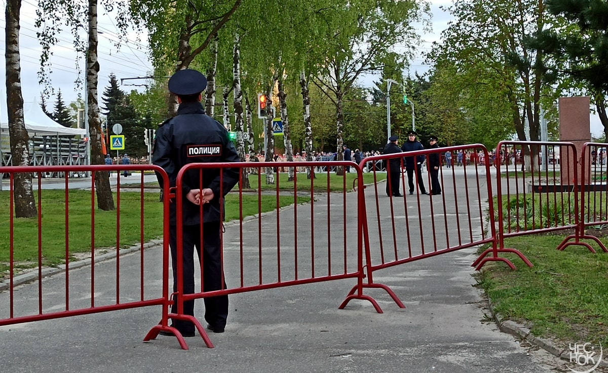 Следить за тишиной во Владимирской области будет полиция | Чеснок