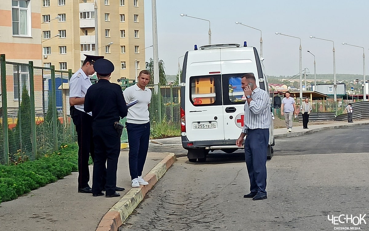Нападение Чеснок МВД полиция Яланский-min