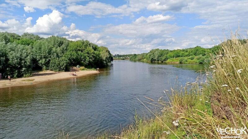 Роспотребнадзор не стал обследовать самые популярные пляжи Владимира