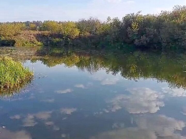 Владимирцам объяснили причину вони воды из-под крана