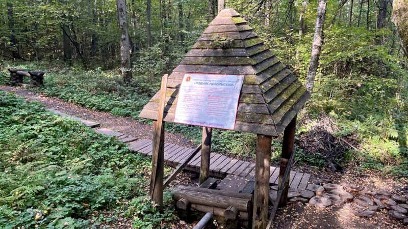 Белый дом не нашел подрядчика на ремонт Никольского родника