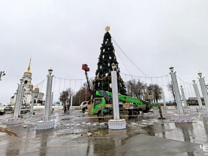 Новый год во Владимире близок к срыву из-за елки