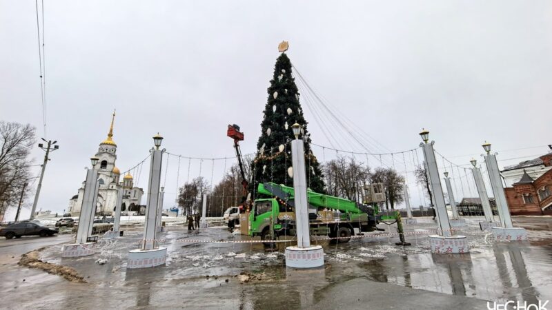 Новый год во Владимире близок к срыву из-за елки