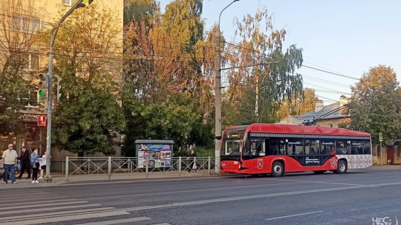 «Я сказала – стартуем»: во Владимире водитель троллейбуса напала на конкурента