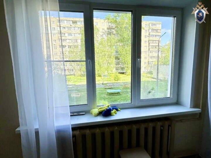 В Муроме трехлетняя девочка выпала из окна вместе с москитной сеткой