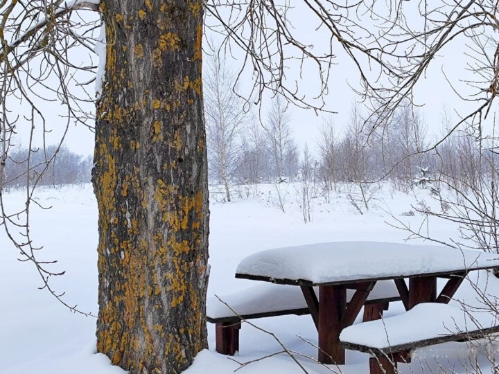 Приставы добились сноса турбазы в Оликово