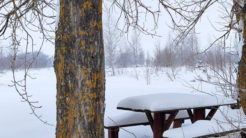 Приставы добились сноса турбазы в Оликово