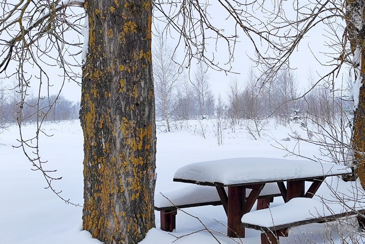 Приставы добились сноса турбазы в Оликово