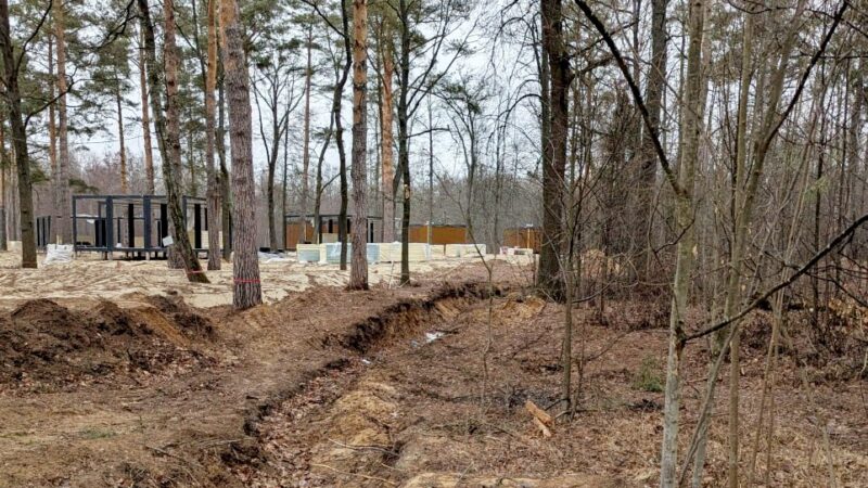Памятник природы под Владимиром изуродовали ради турбазы