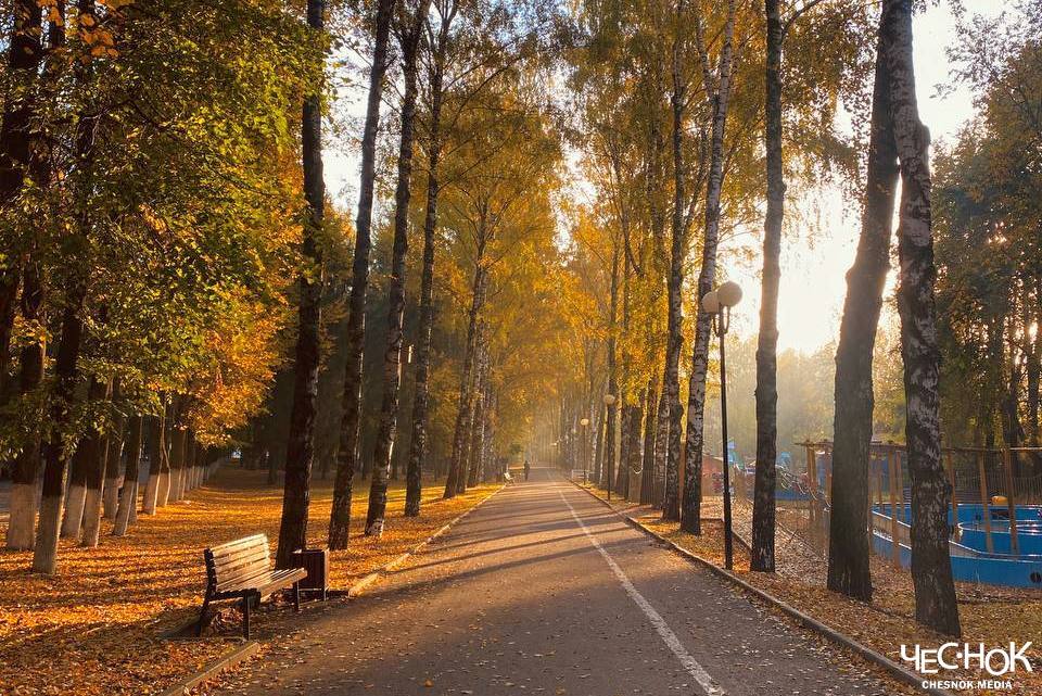 Вырубку 250 деревьев в Центральном парке отменили