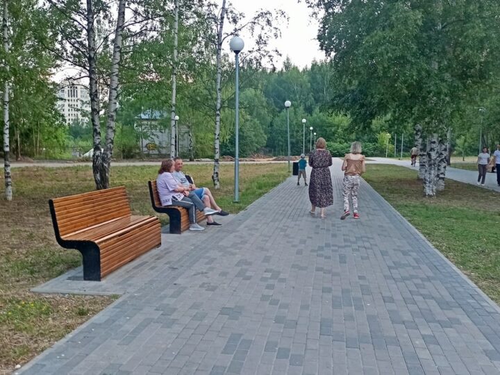 В каком районе Владимира больше всего не хватает зелени