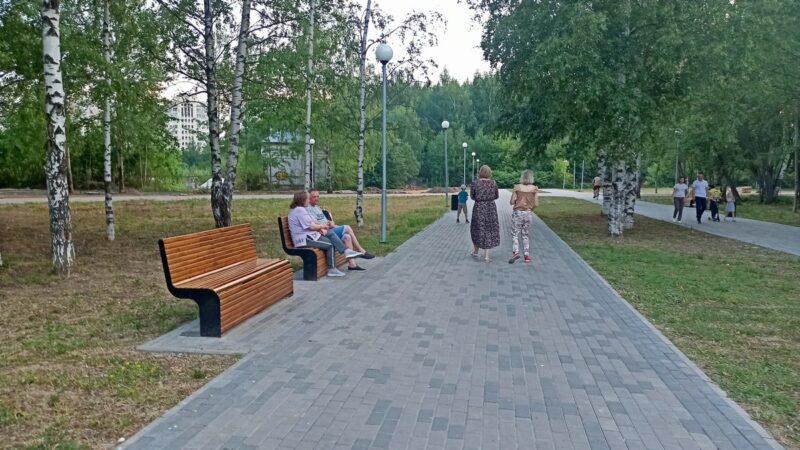 В каком районе Владимира больше всего не хватает зелени