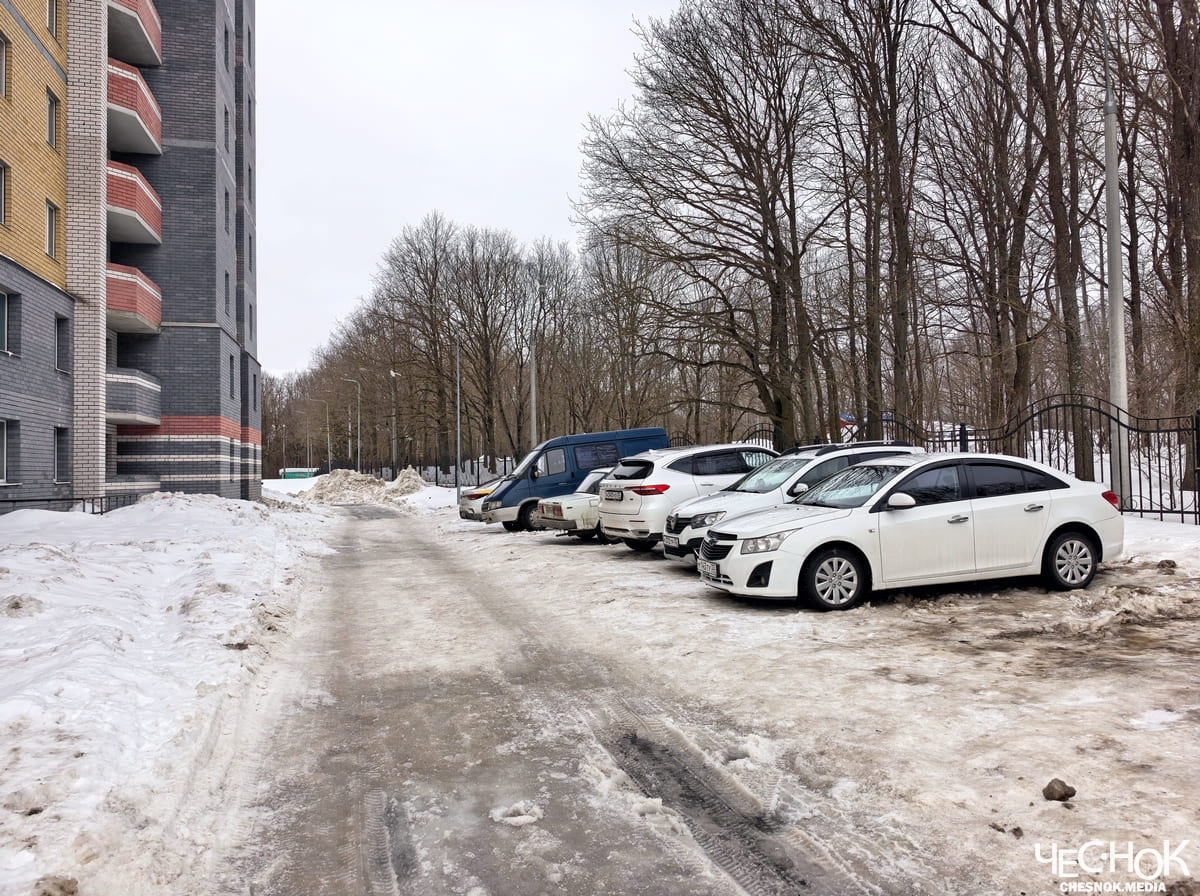 Парк Дружба вход