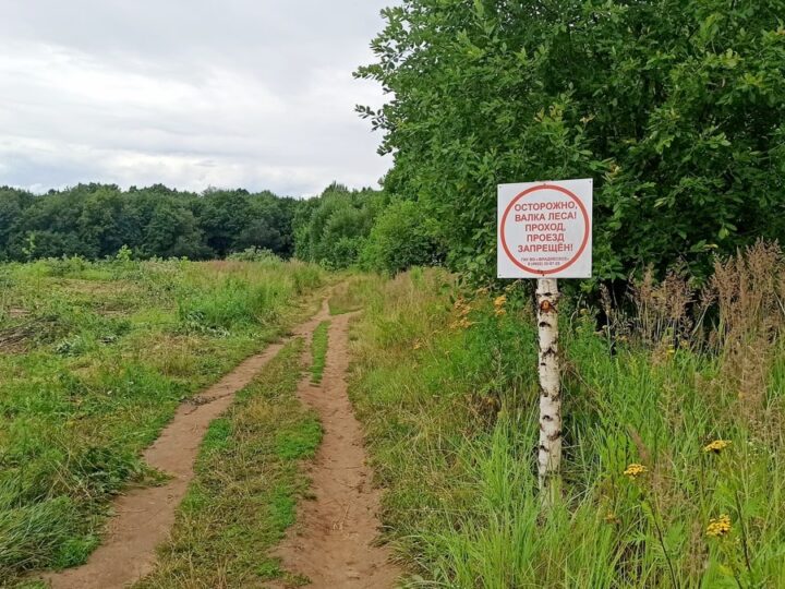 Мельниковых обязали вернуть лес в парке «Дружба» государству