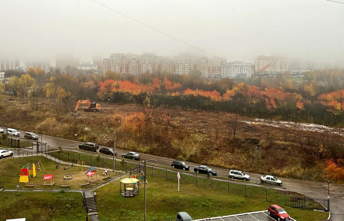 В парке у ДТЮ продолжают валить деревья под дорогу