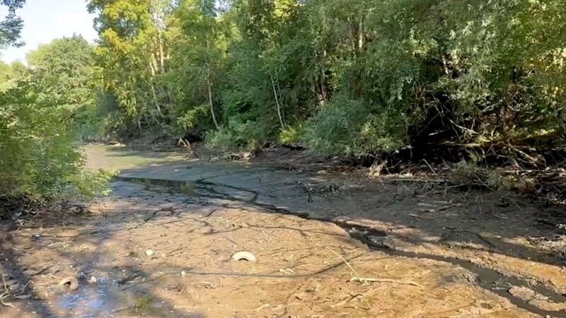 В парке у ДТЮ осушили верхний пруд