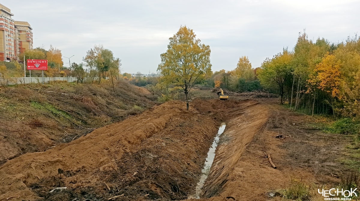 Парк ДТЮ пруды вырубка