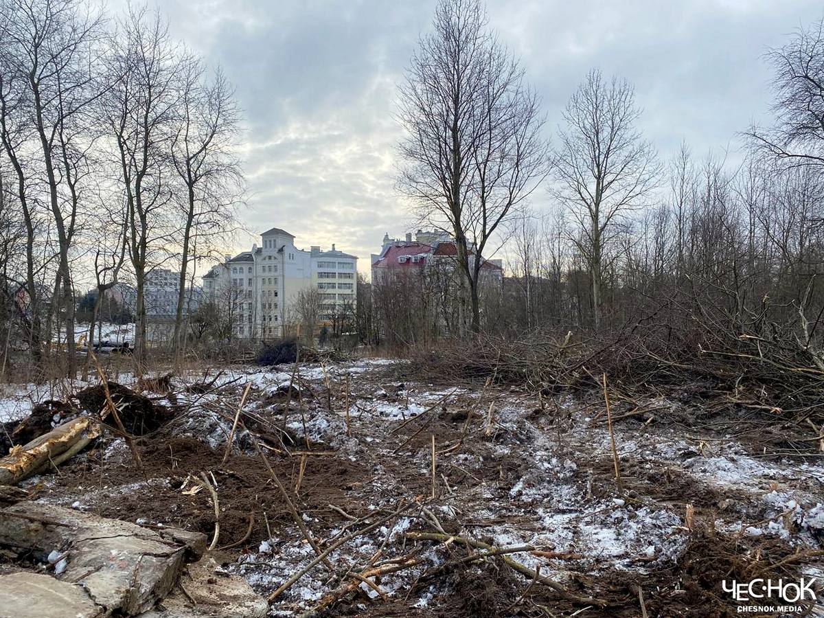 Под хруст деревьев. В парке у ДТЮ вырубили рощу под вторую дорогу