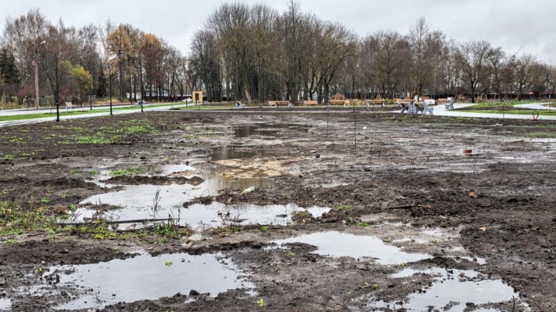 Шезлонги на болоте. Парк 950-летия Суздаля застрял в благоустройстве