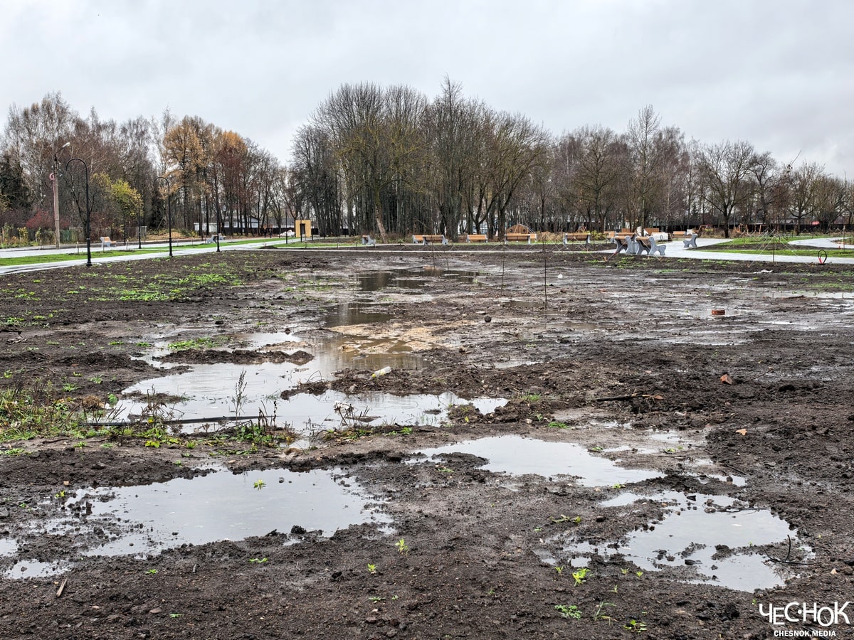 Шезлонги на болоте. Парк Суздаля застрял в благоустройстве