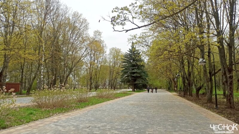 Опыт Владимира внедрят по области. В парке Суздаля вырубят более 100 деревьев