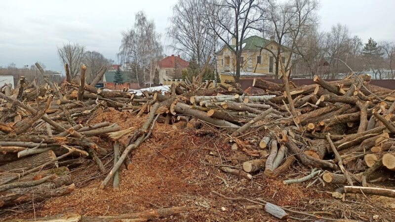 Кладбище домашних деревьев. В парке у ДТЮ прорубили дорогу