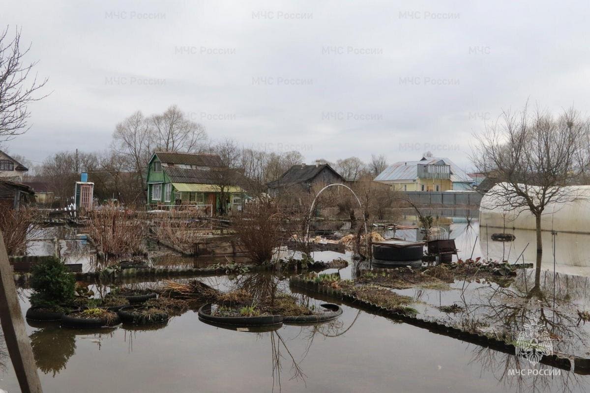 Паводок МЧС 2