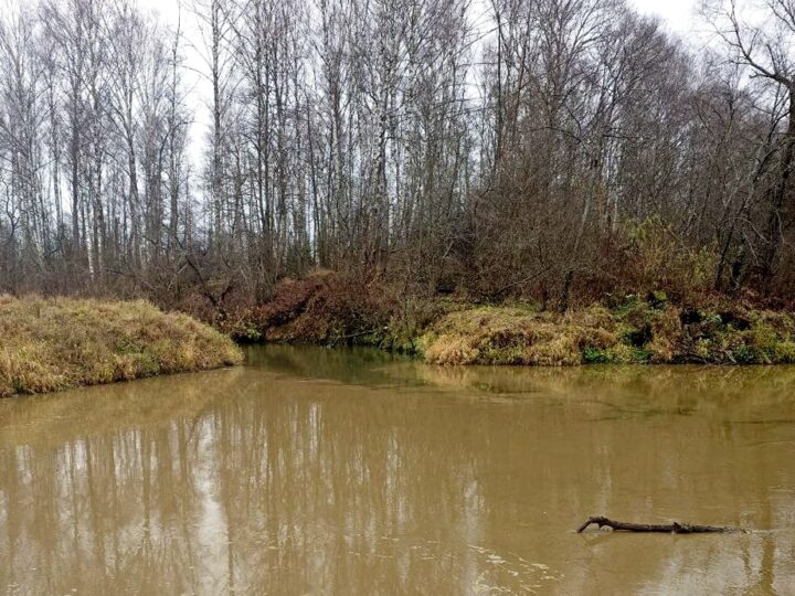 Слишком хорошо работаем. В прокуратуре назвали причину лидерства региона по загрязнению рек