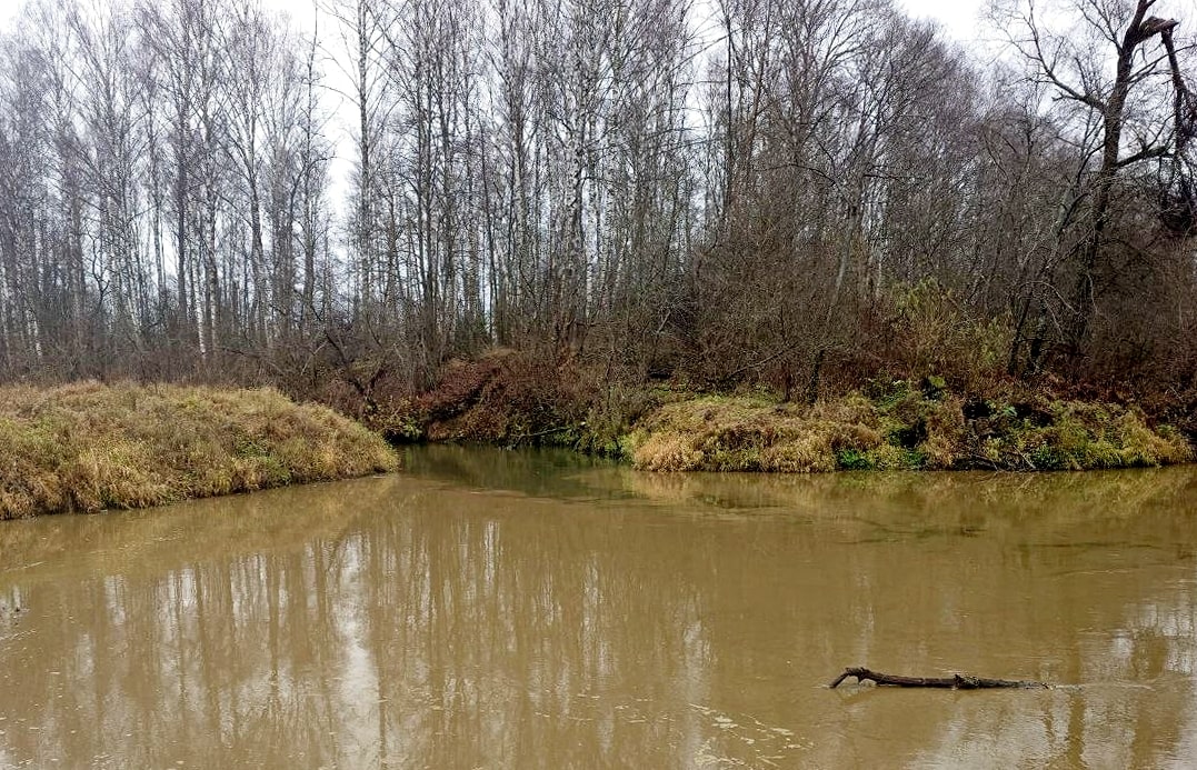 В Петушинском районе в реку Пекша слили навозную жижу