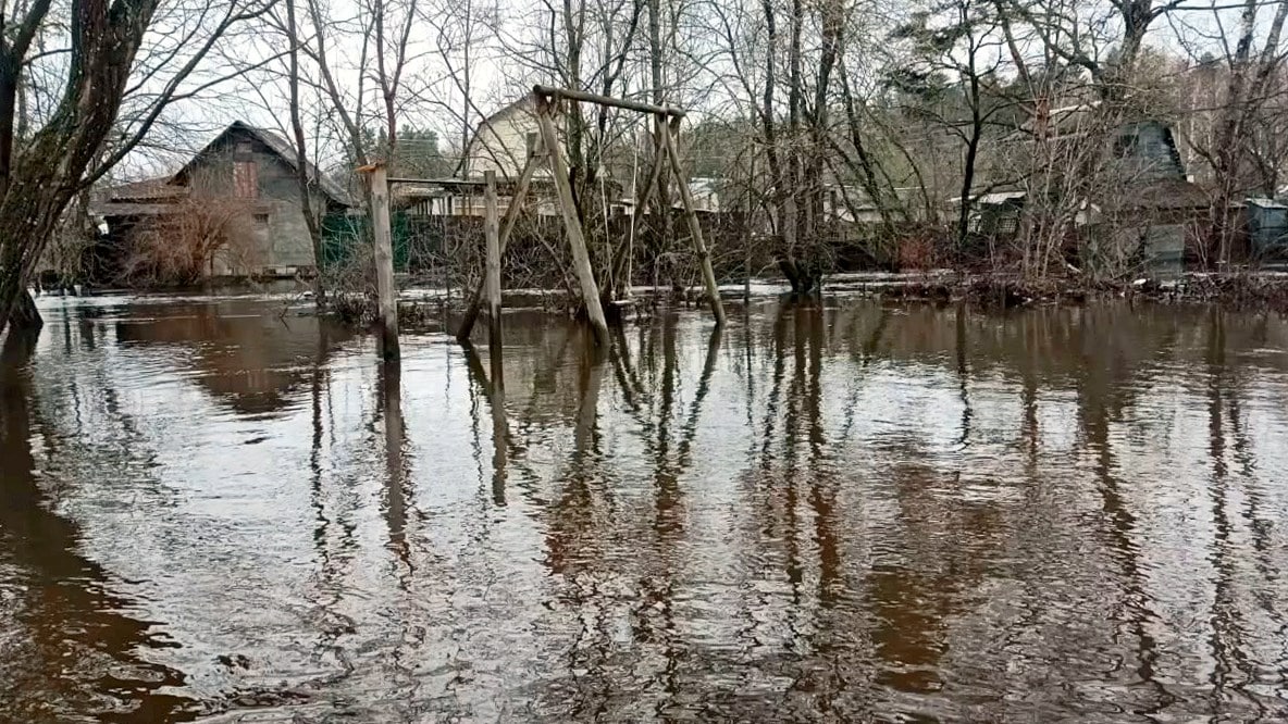 Петушинский район половодье паводок затопление