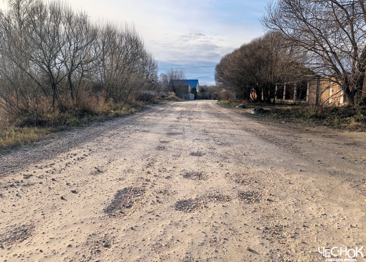 Петушки Головино дорога собака