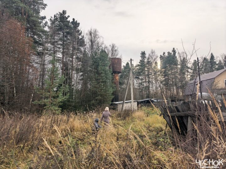 После репортажа «Чеснока» жителям Петушков проведут водопровод