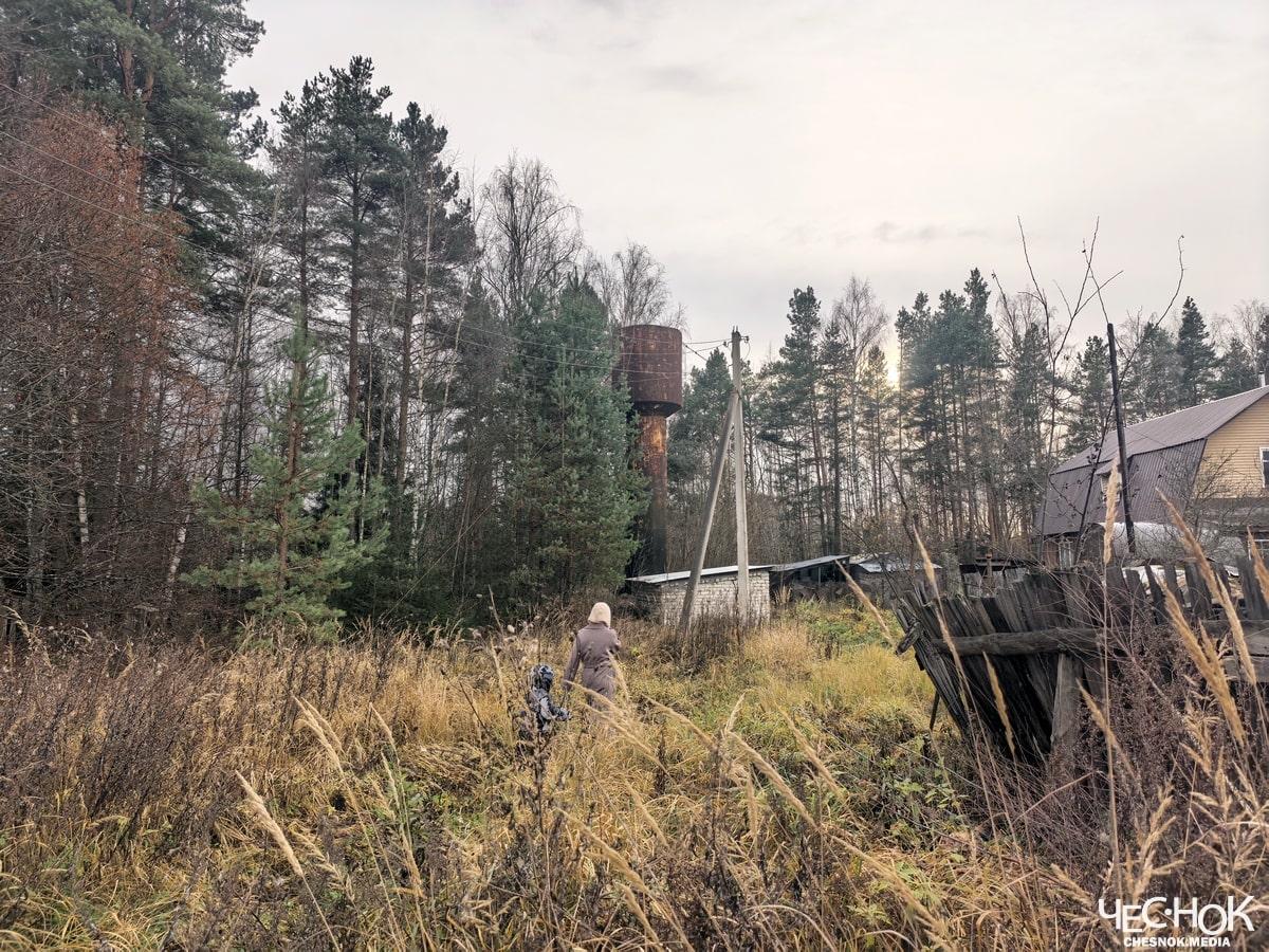 Петушки водонапорная башня 2