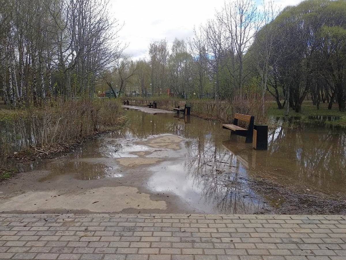 Свежеблагоустроенный парк «Добросельский» превратился в болото