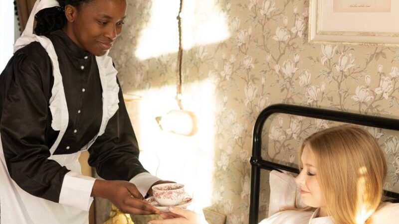 Суздальский отельер создал вирусную рекламу с темнокожей горничной