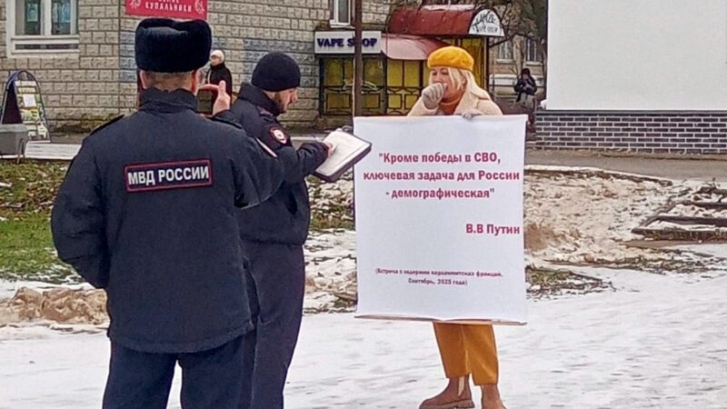 Кольчугинцы протестуют против закрытия роддома