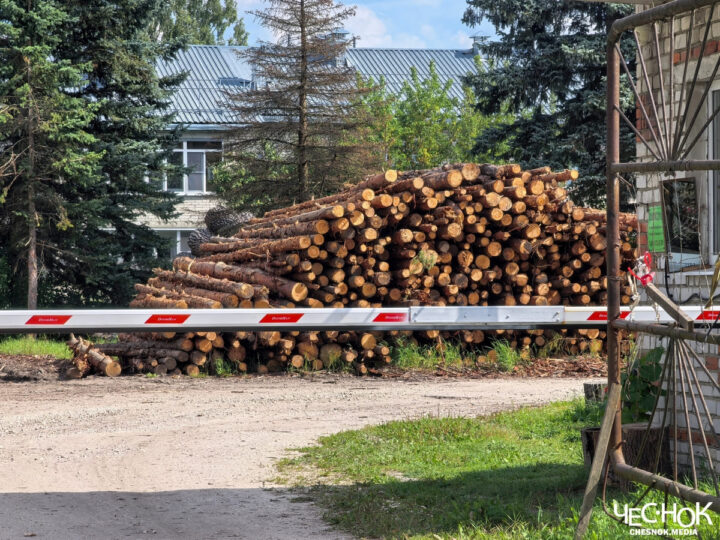 «Здесь по-любому все куплено». В Петушках открыли пилораму в центре жилого квартала