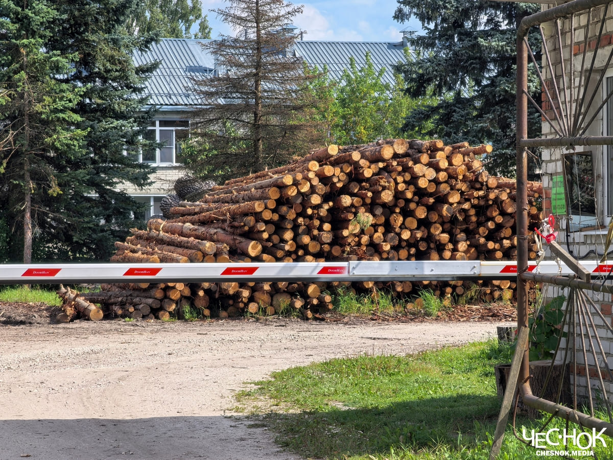 «Здесь по-любому все куплено». В Петушках открыли пилораму в центре жилого квартала
