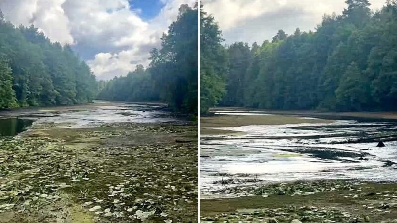 Плотина в Грезино после прорыва превратилась в лужу