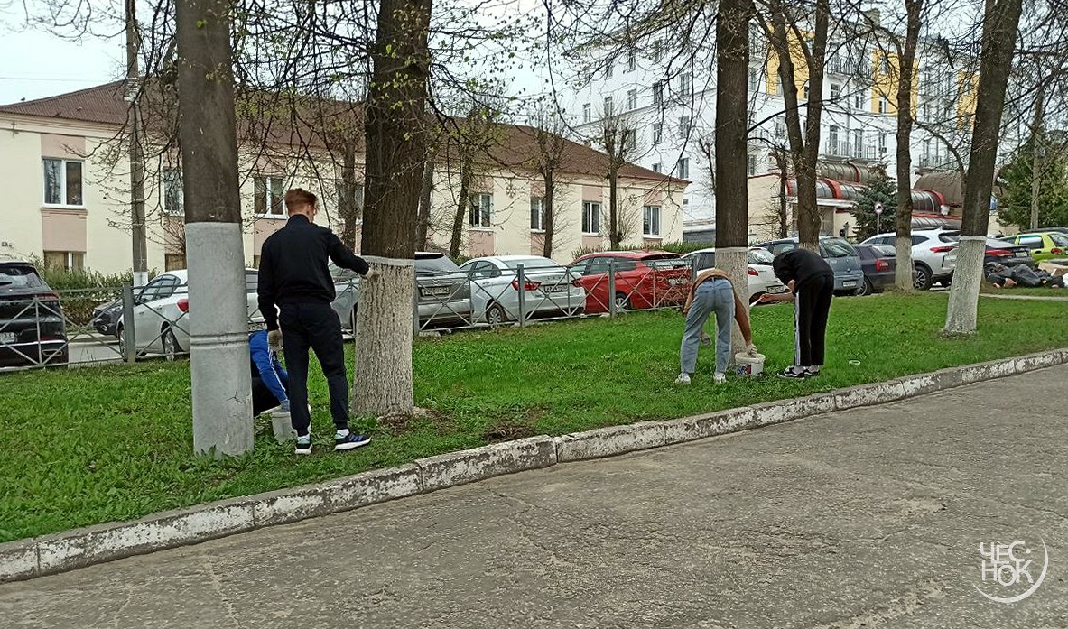 Побелка деревьев белят