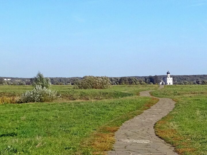 Областную службу благоустройства создали на два луга