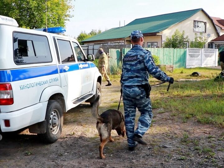 Во Владимирской области за год раскрыли лишь половину преступлений