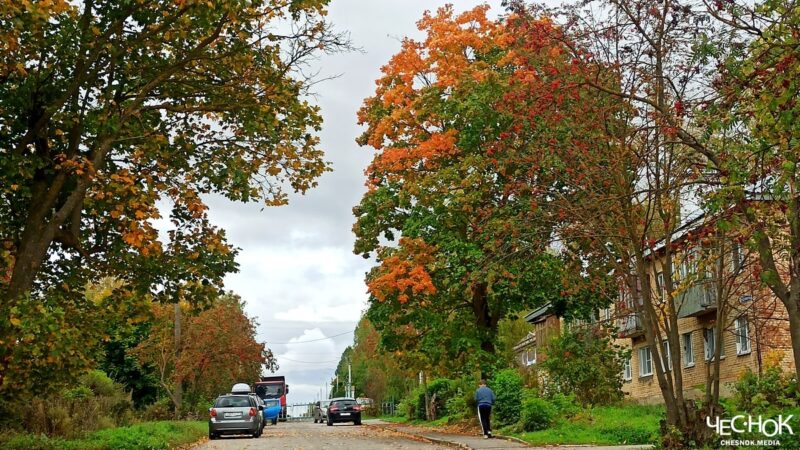Пригороды Владимира: стоит ли переезжать в Садовый и Суходол