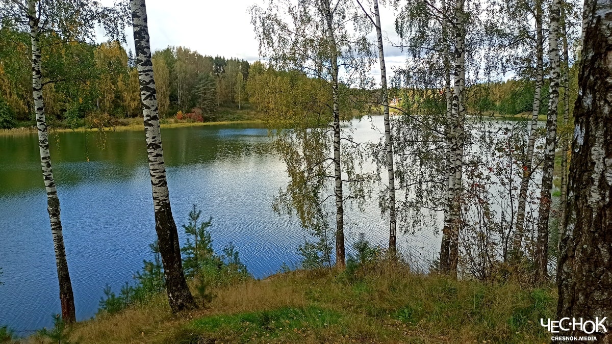 Поселок Садовый река отдых пляж купание