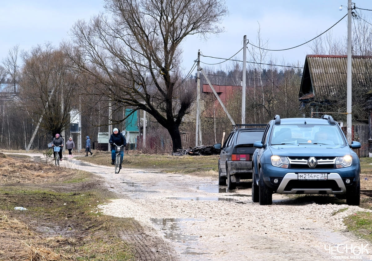Поселок Воровского лужи 5