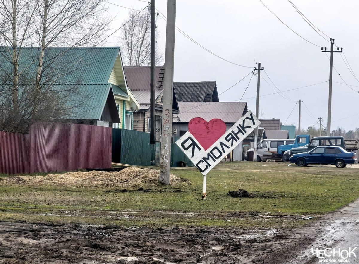 Поселок Воровского лужи