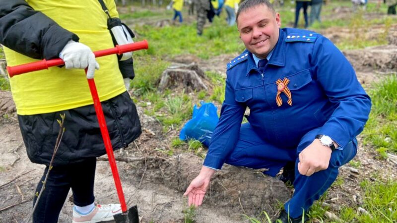 Начальник судогодской прокуратуры получил взятку и ушел на СВО