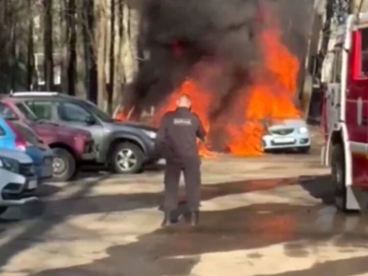 В Центральном парке сгорели две иномарки